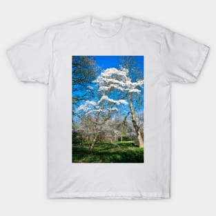 Winkworth Blossom T-Shirt